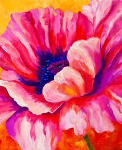 Pink Poppy