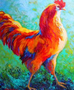 Narcissus Rooster