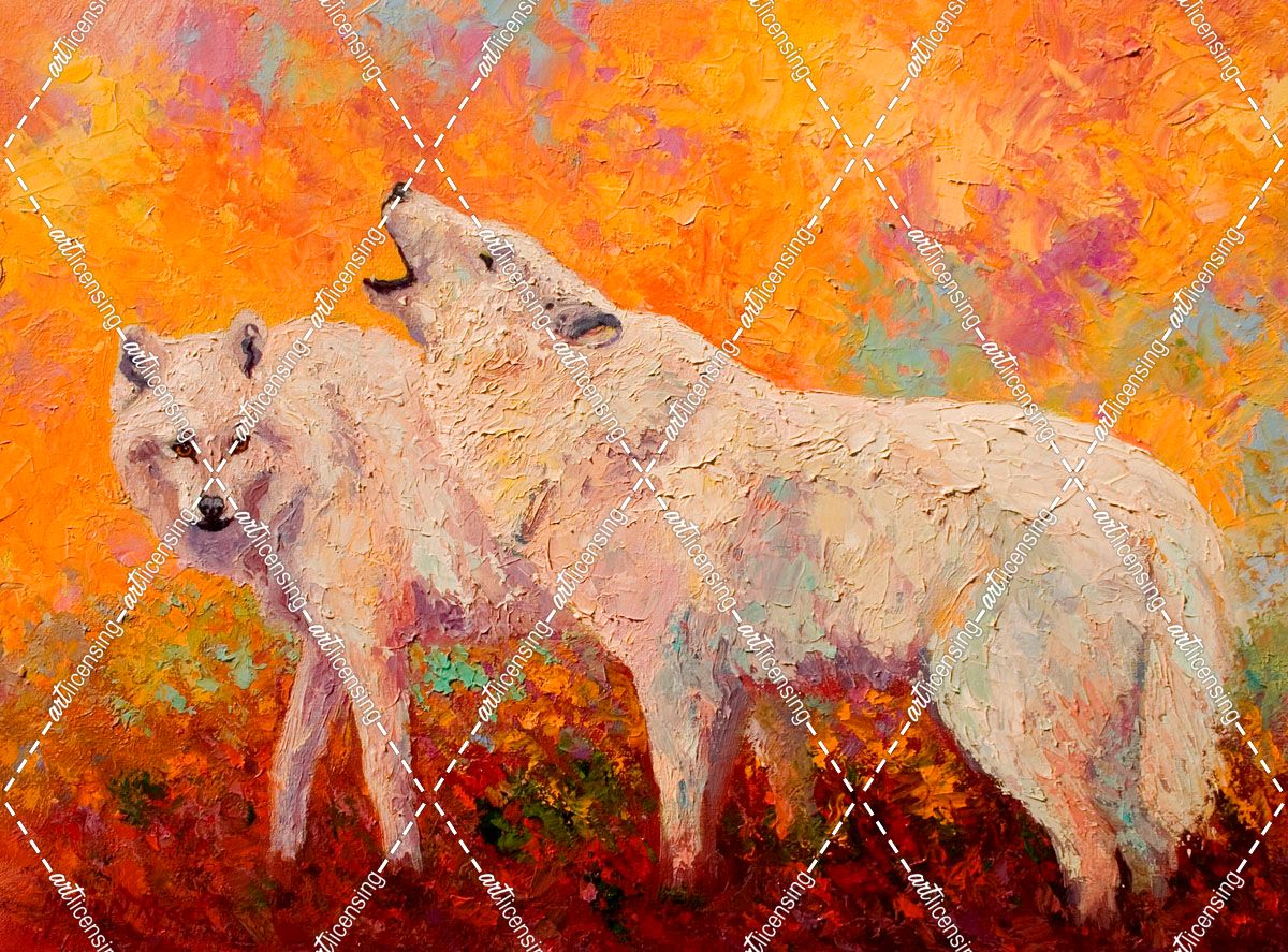 Arctic Wolves II