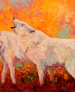 Arctic Wolves II