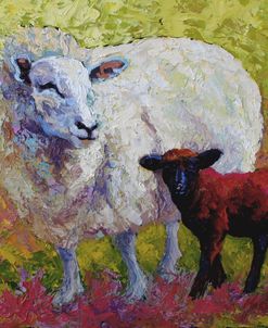Mom’s Love Sheep