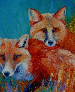 Red Foxes