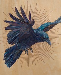 Crow Light