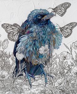 Fluffy Feathers, Gentle Wings