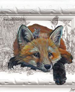 Framed In Curiosity