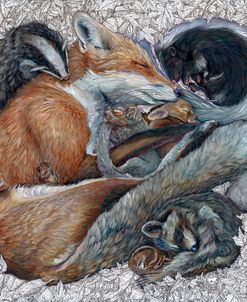 Leafy Lullaby- Sleeping In Nature’s Embrace
