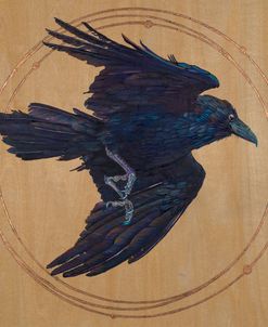 Crow Universe