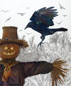 Fear-Less Crow