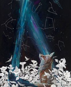 Stargazing