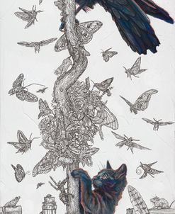 Metempsychosis