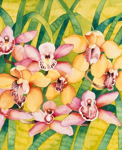 Winter Orchids