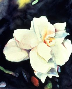 Mother Gardenia