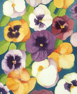 Summer Pansies