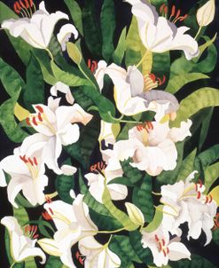 White Lilies