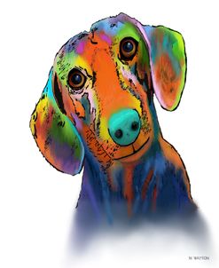 Dachshund 1