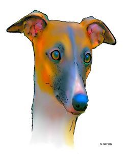 Greyhound 1