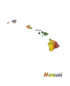 Hawaii State Map 1