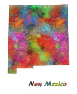 New Mexico State Map 1