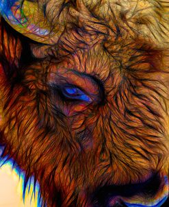 Beautiful Bison