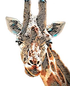Giraffe – Up Close And In Awe