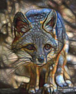 I Fear For My Life – Grey Fox – Wild 04