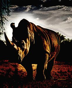 Rhino – Entering Extinction Filtered