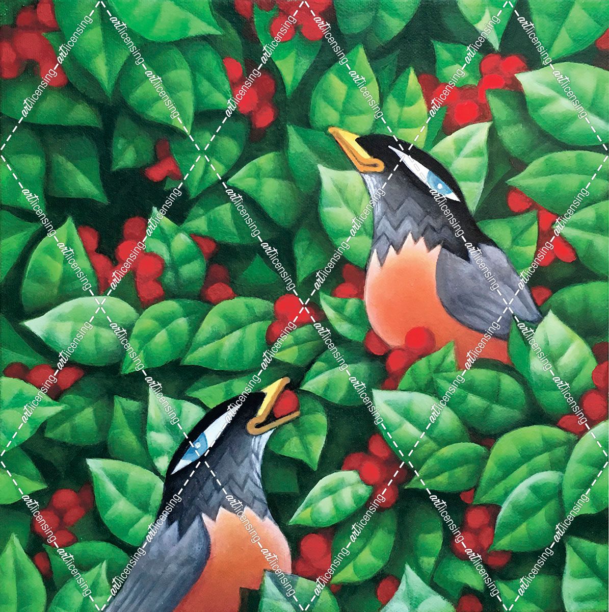 Robins Eating Holly