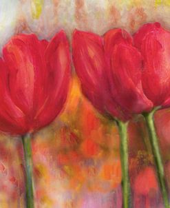 Tulips/2003