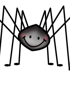 Spider