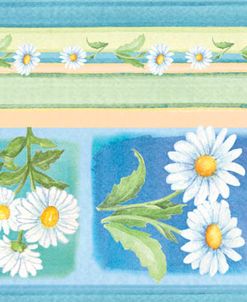 Daisies Border