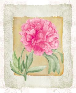 Peonies 2