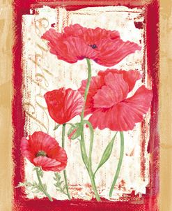 Poppies