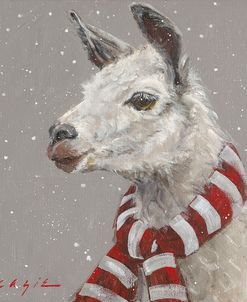 Llama with Red and White Scarf
