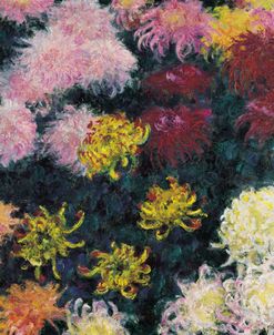 Monet-Chrysanthemum