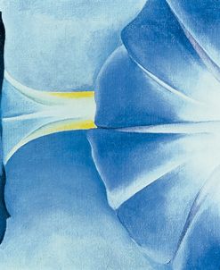 O’Keefe Blue Morning Glories