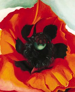 O’Keefe-Poppy