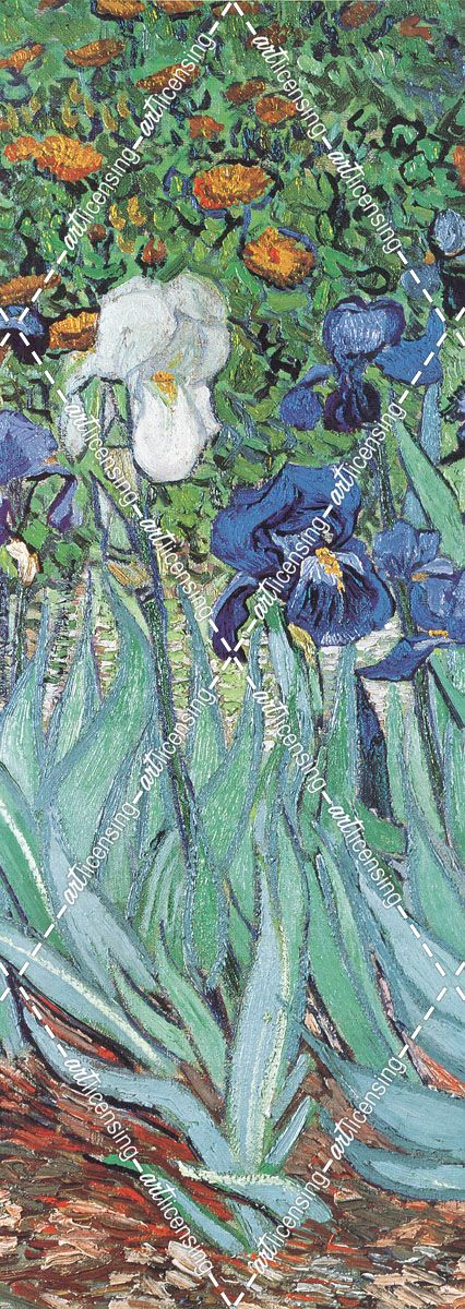 Van Gogh-Iris