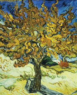 The Mulberry Tree – Vincent Van Gogh