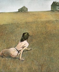 Christina’s World – Wyeth