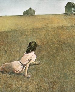 Wyeth-Christina’s World