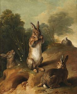 Rabbits – Alexandre-François Desporte