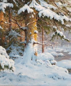 Winter Im Wald – Walter Moras