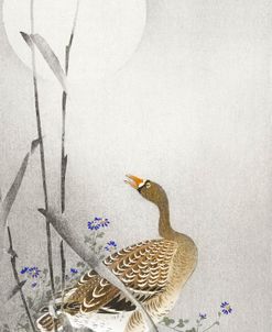 Goose At Full Moon – Ohara Koson