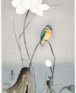 Kingfisher With Lotus Flower – Ohara Koson