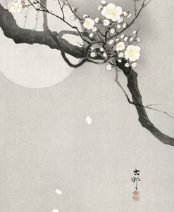 Plum Blossom And Full Moon – Ohara Koson