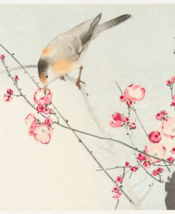 Songbird On Blossom Branch – Ohara Koson