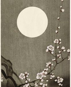 Blooming Plum Blossom At Full Moon – Ohara Koson