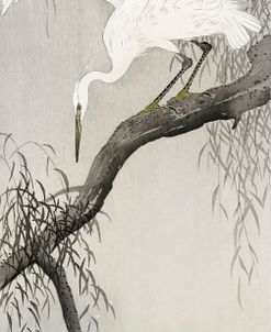 White Heron On Tree Branch – Ohara Koson