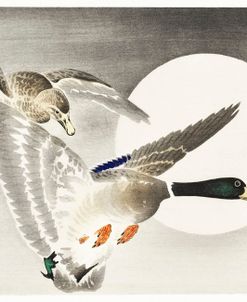 Two Ducks At Full Moon – Ohara Koson