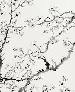 Chinese Cherry Blossom Scroll – Rushan